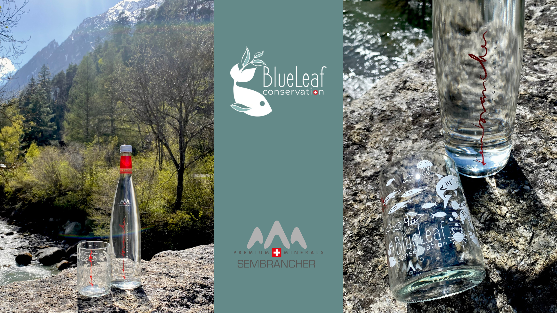Sembrancher-partenarait-blueleaf-conservation